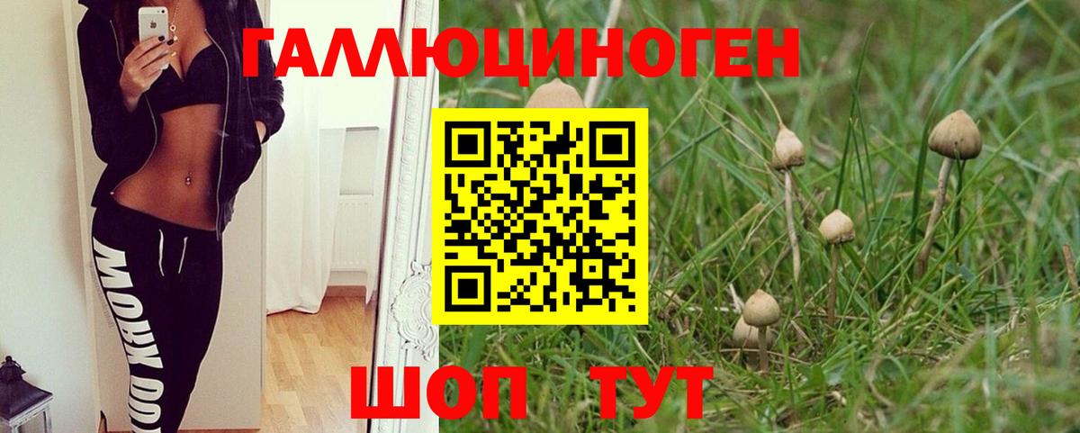 Галлюциногенные грибы MAGIC MUSHROOMS  Вход с VPN  Карталы 